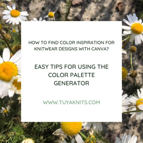 How to find color inspiration for knitwear designs with Canva? Easy