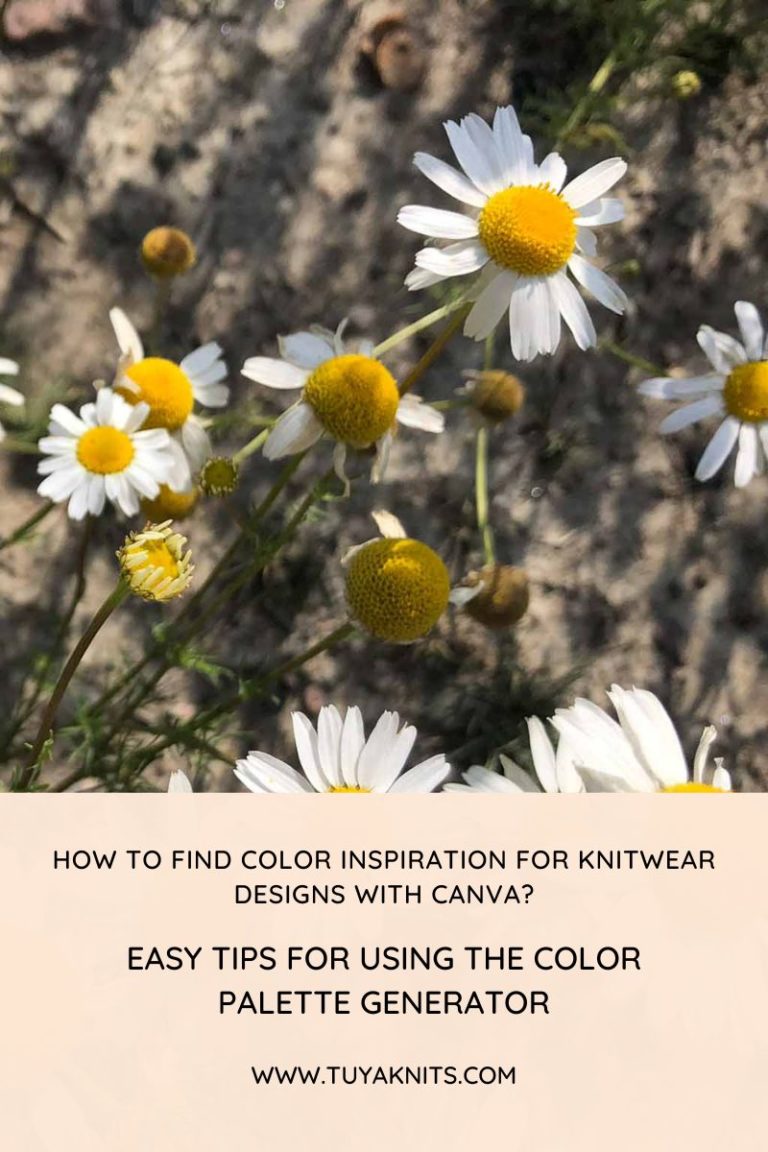 How to find color inspiration for knitwear designs with canva easy